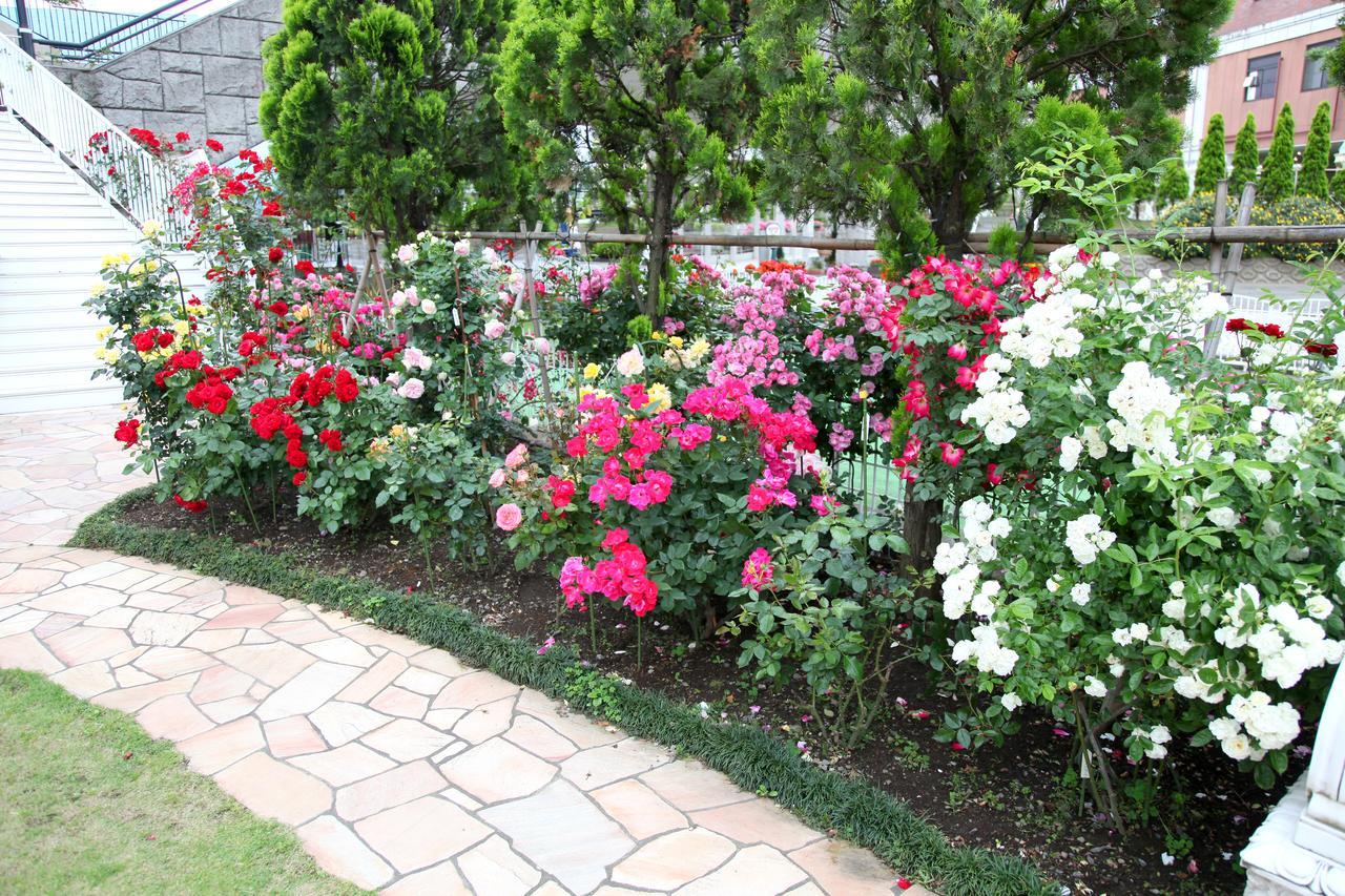 Hotel Sunlife Garden Hiratsuka Exteriör bild